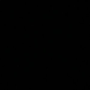 Meet your Posher, Abigail